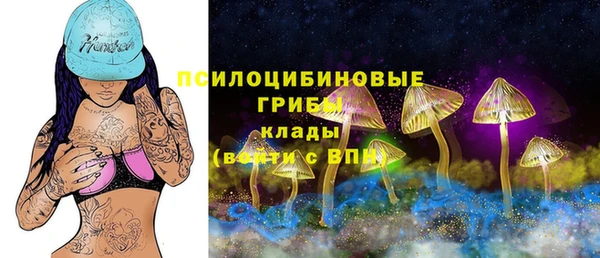 дмт Белоозёрский