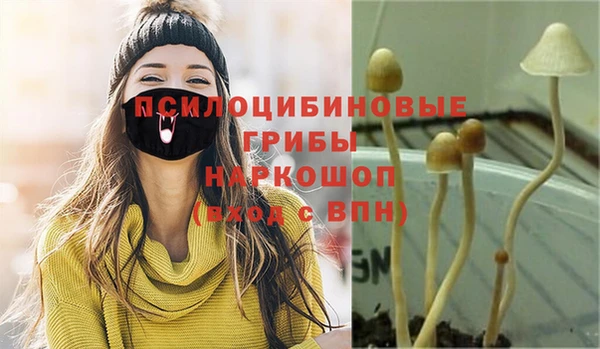 каннабис Белокуриха