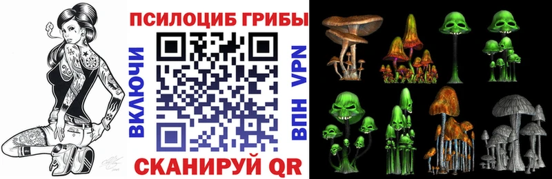 Купить где  Дорогобуж  Галлюциногенные грибы GOLDEN TEACHER 